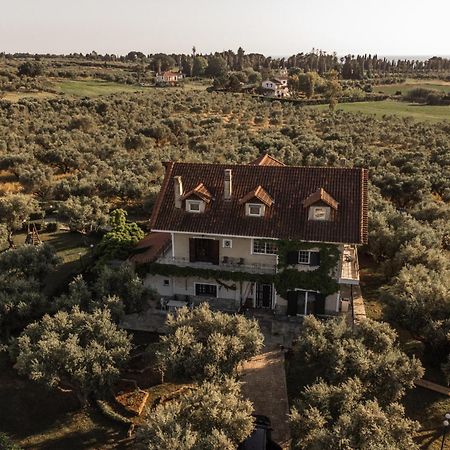 Villa Georgina B&B Katakolo Bagian luar foto