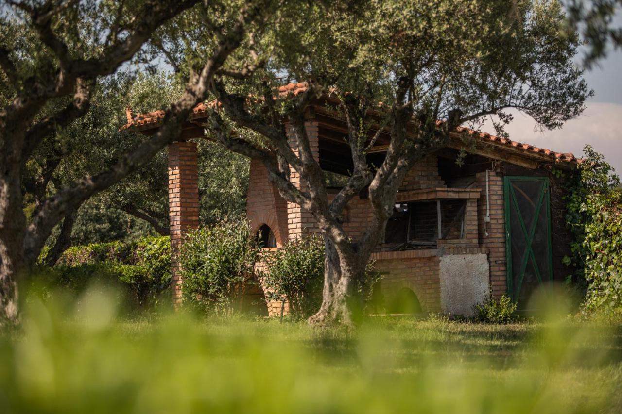 Villa Georgina B&B Katakolo Bagian luar foto