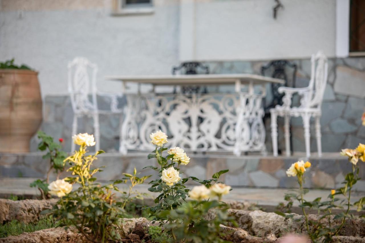 Villa Georgina B&B Katakolo Bagian luar foto