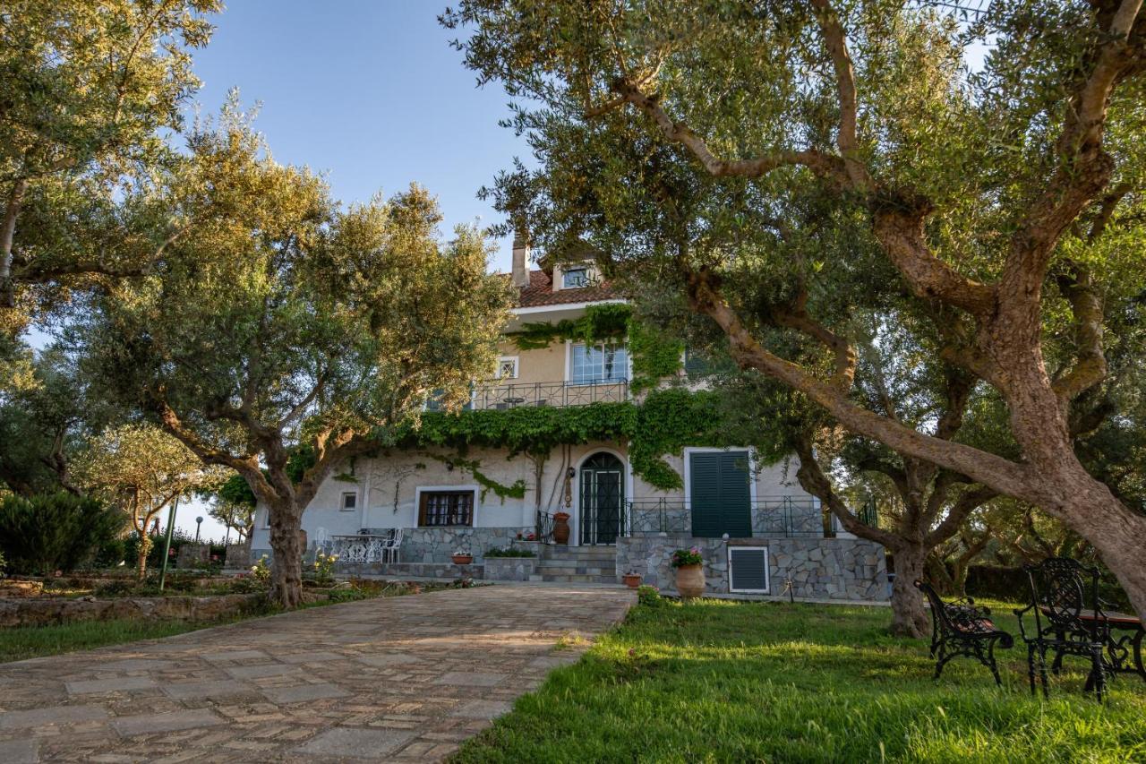 Villa Georgina B&B Katakolo Bagian luar foto