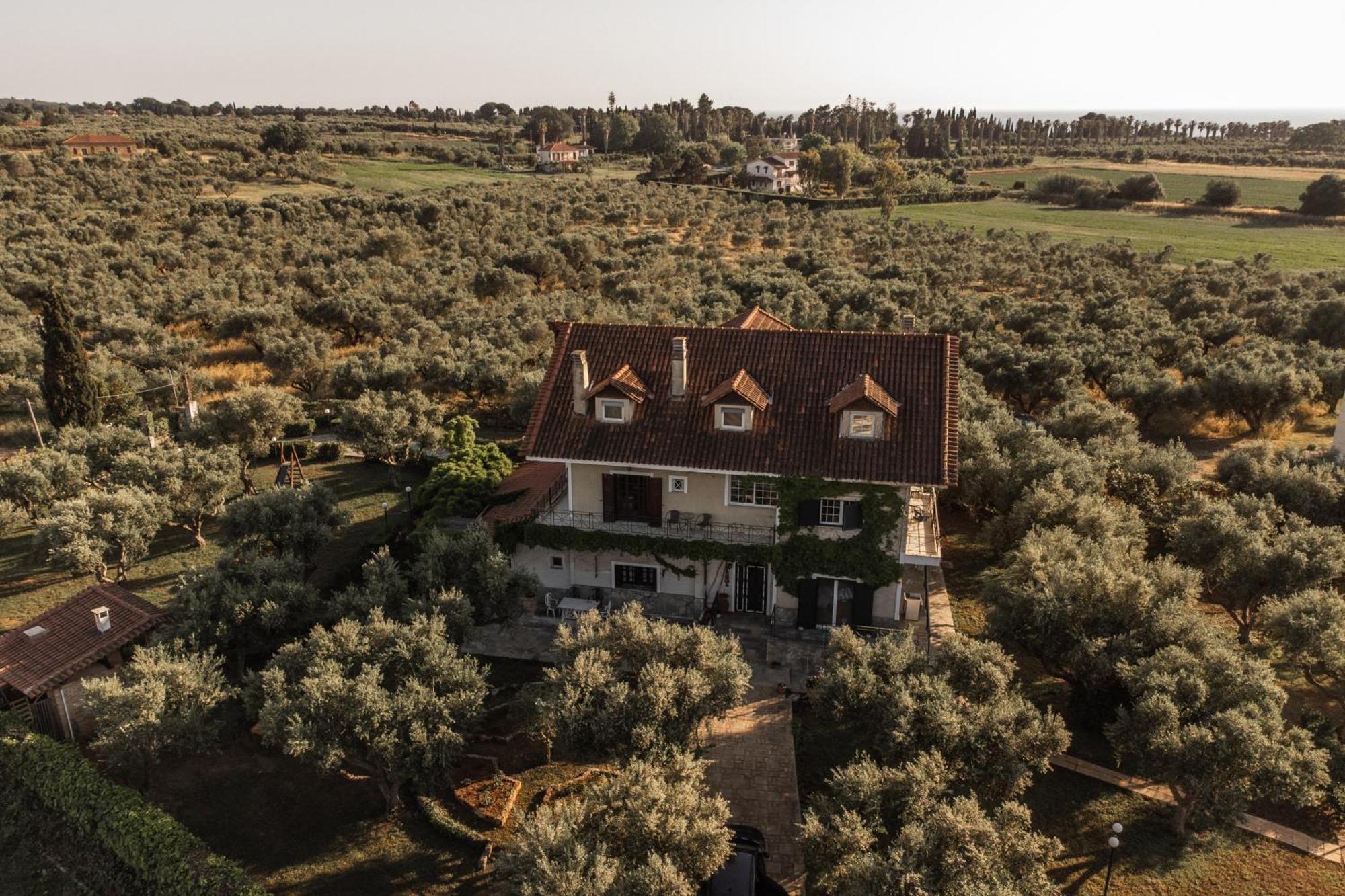 Villa Georgina B&B Katakolo Bagian luar foto